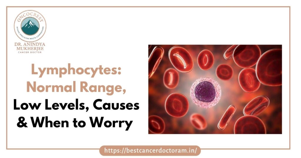 Lymphocytes Normal Range, Low Levels, Causes & When to Worry